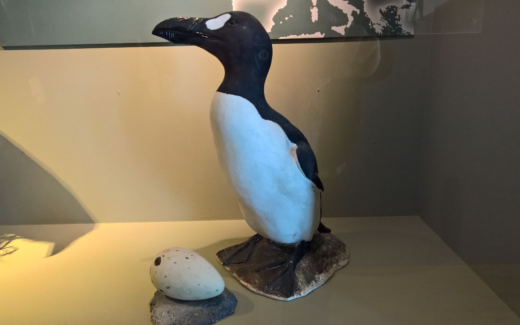 07.07.2016 – Streymnes – Torshavn