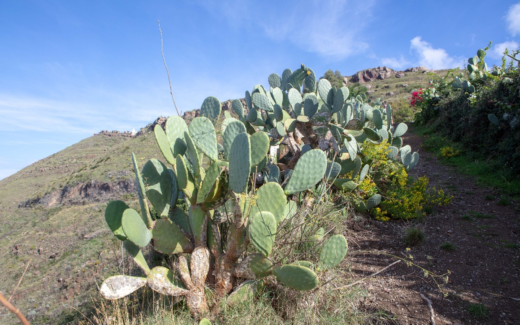 15.10.2018 – Lipari (Rundfahrt)