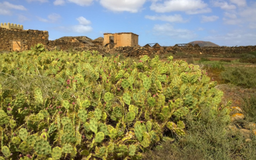 16.02.2016 – Castillo Caleta de Fuste – La Oliva