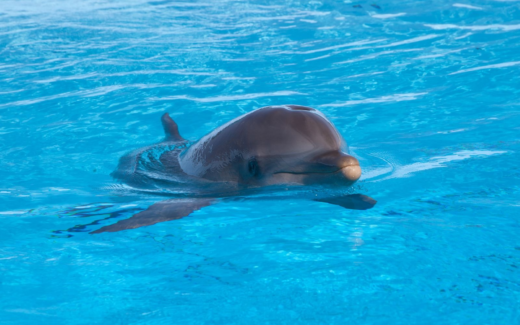 24.10.2015 – San Ġiljan – Mediterrano Park (Naxxar)