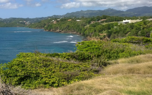 11.02.2015 – The Lime – Nationalpark Grand Etang – Magazin Beach