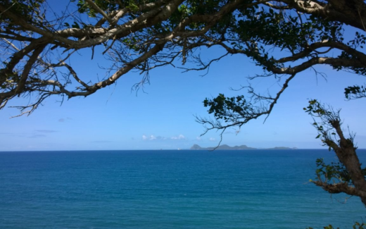 15.02.2015 – River Sallee – Lake Antonie – Corinth