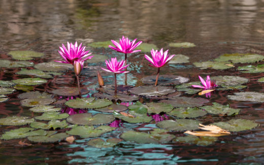 25.02.2019 – Langkawi (Malaysia)