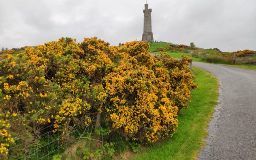 25.05.2019 – Stornoway (LEWIS) – Tarbert (Harris) – Staffin (Skye)