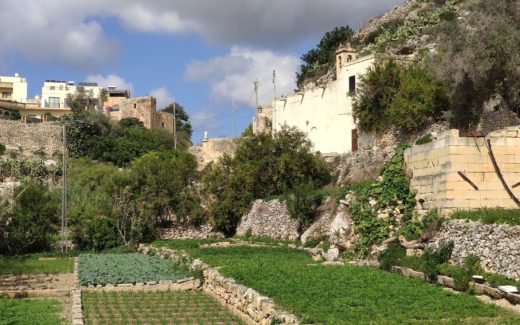 19.10.2019 – Qala – Birbuba – Lunzjata Valley – Xlendi – Qala