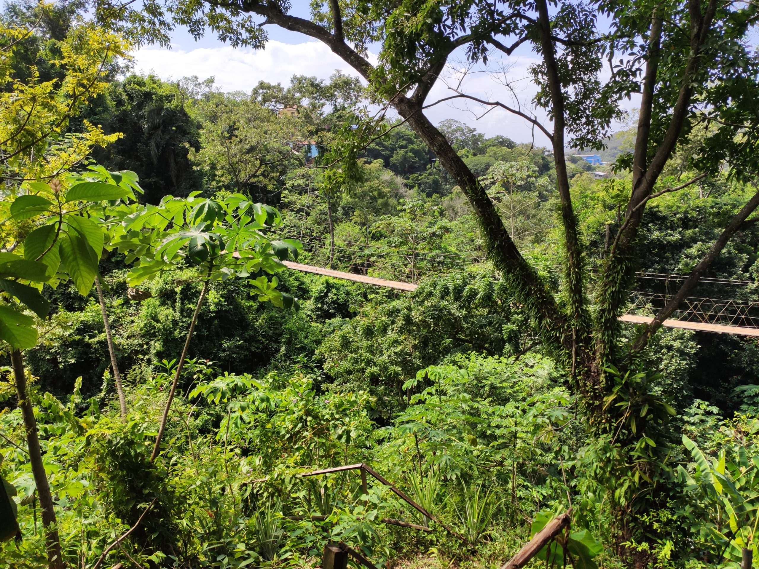 15.02.2020 – Coxen Hole, Insel Roatán (Honduras)