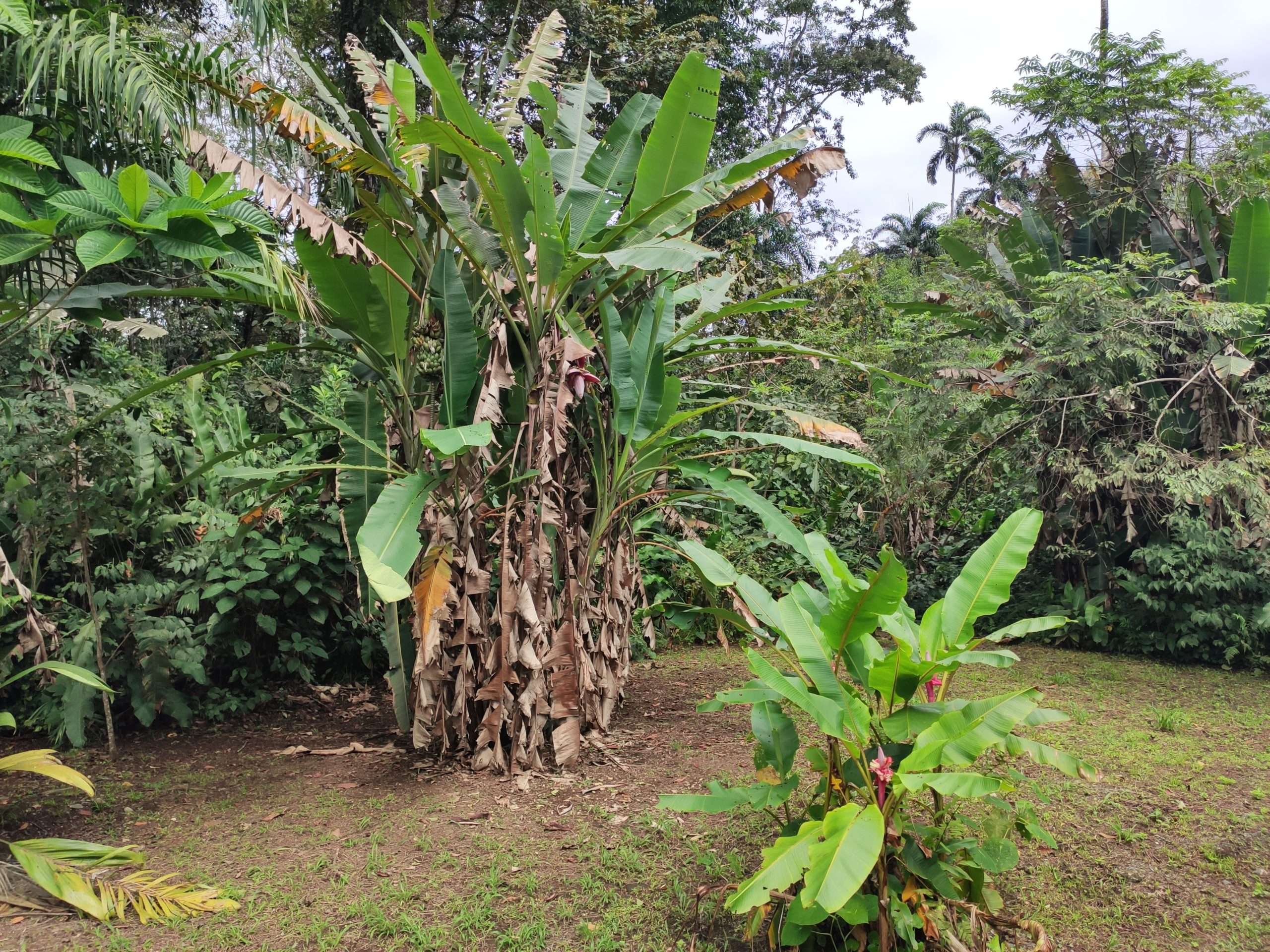 17.02.2020 – Puerto Limón (Costa Rica)