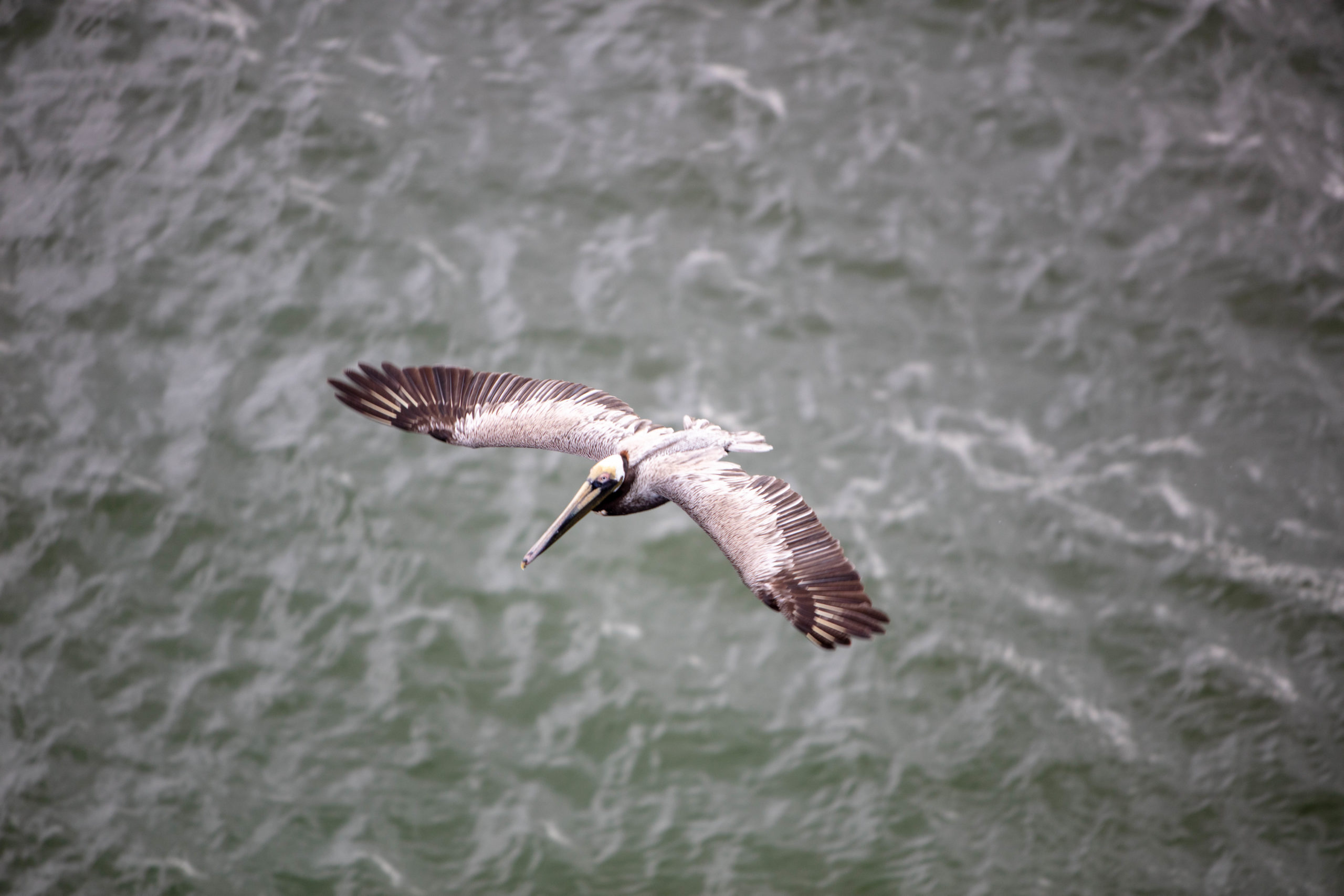 20.02.2020 – Seetag (Karibisches Meer einmal quer von Süd nach Nord)