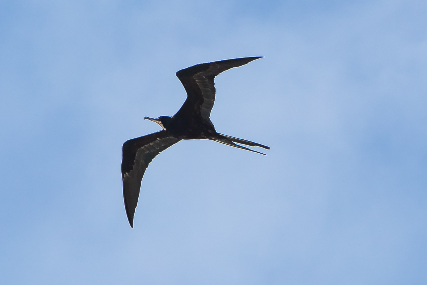 16.02.2020 – Seetag (Karibisches Meer entlang Honduras und Nicaragua)