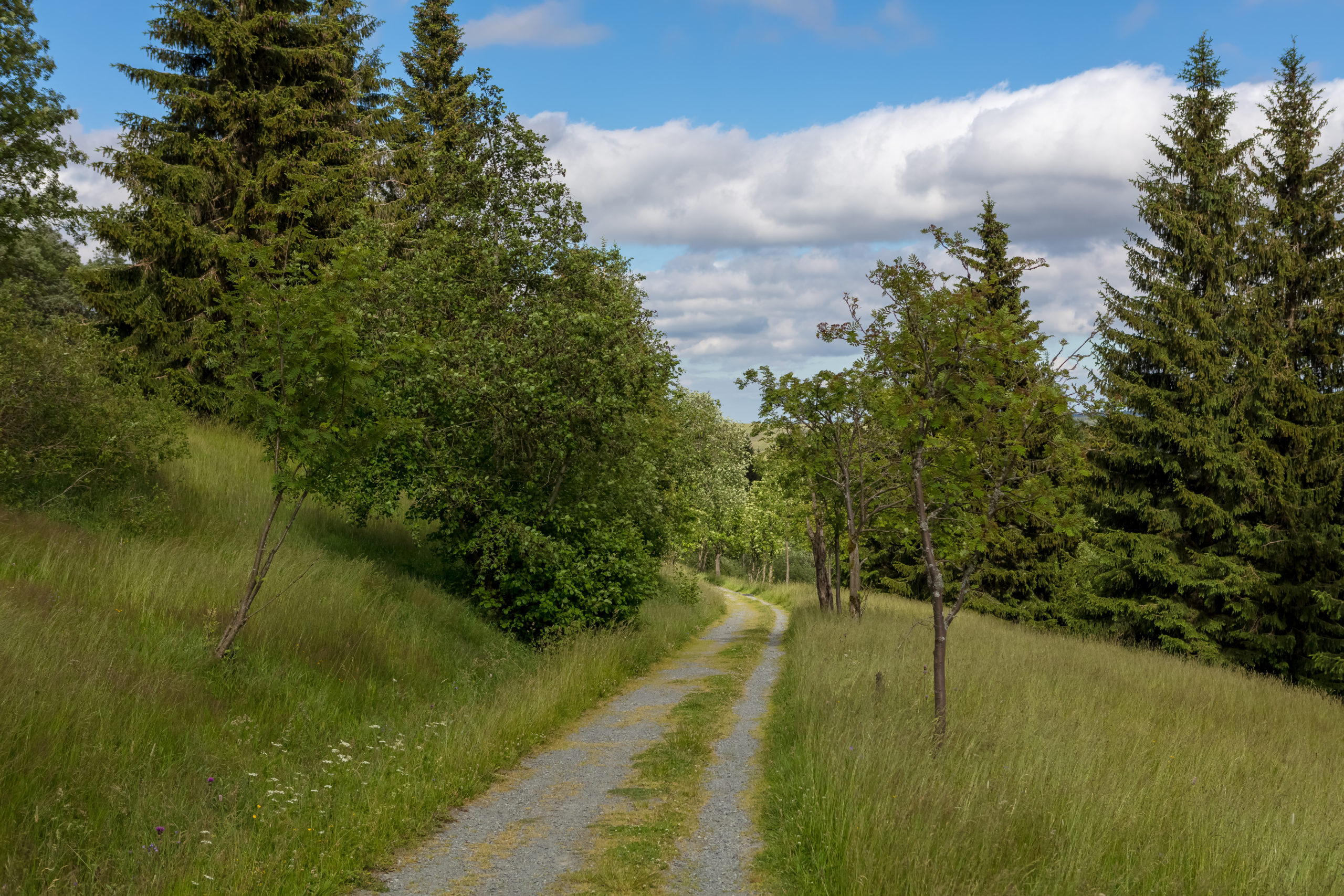 05.07.2020 – Oberwiesenthal – Fichtelberg – Boží Dar – Oberwiesenthal