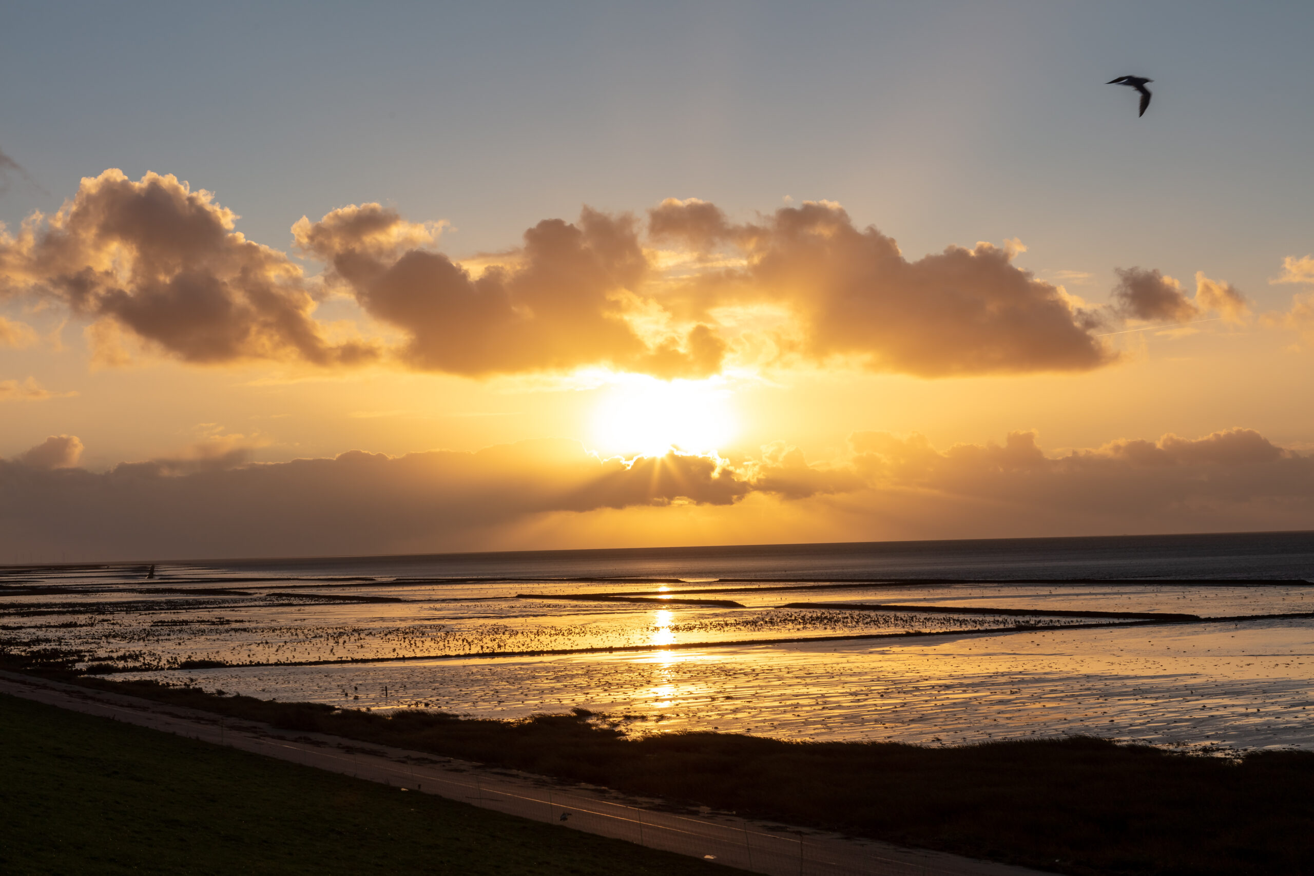 23.10.2021 – Lütetsburg – Norden