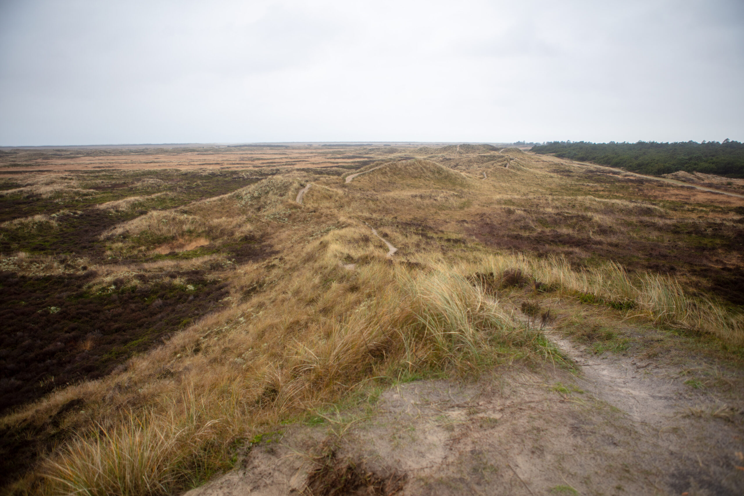 05.12.2021 – Rømø