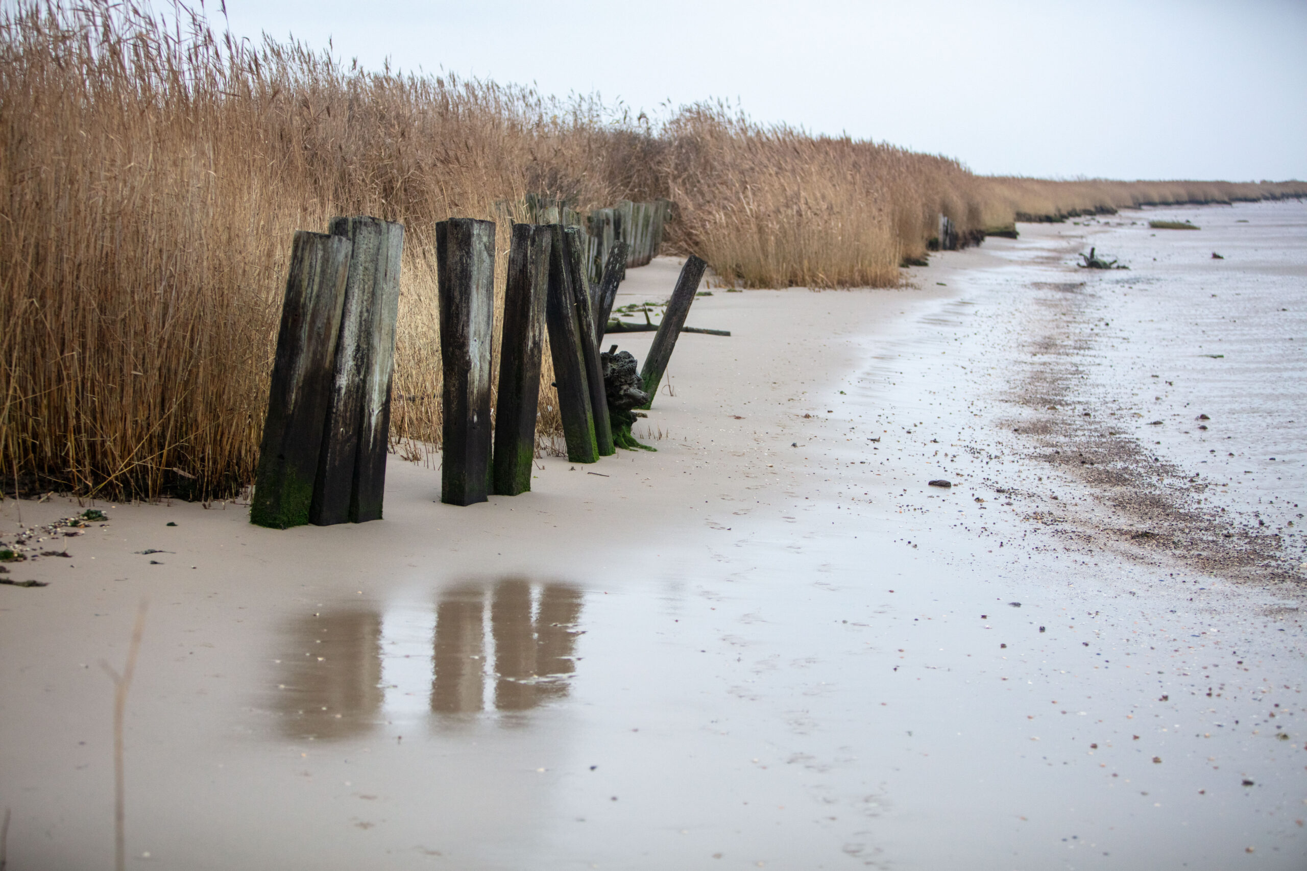 10.12.2021 – Rømø