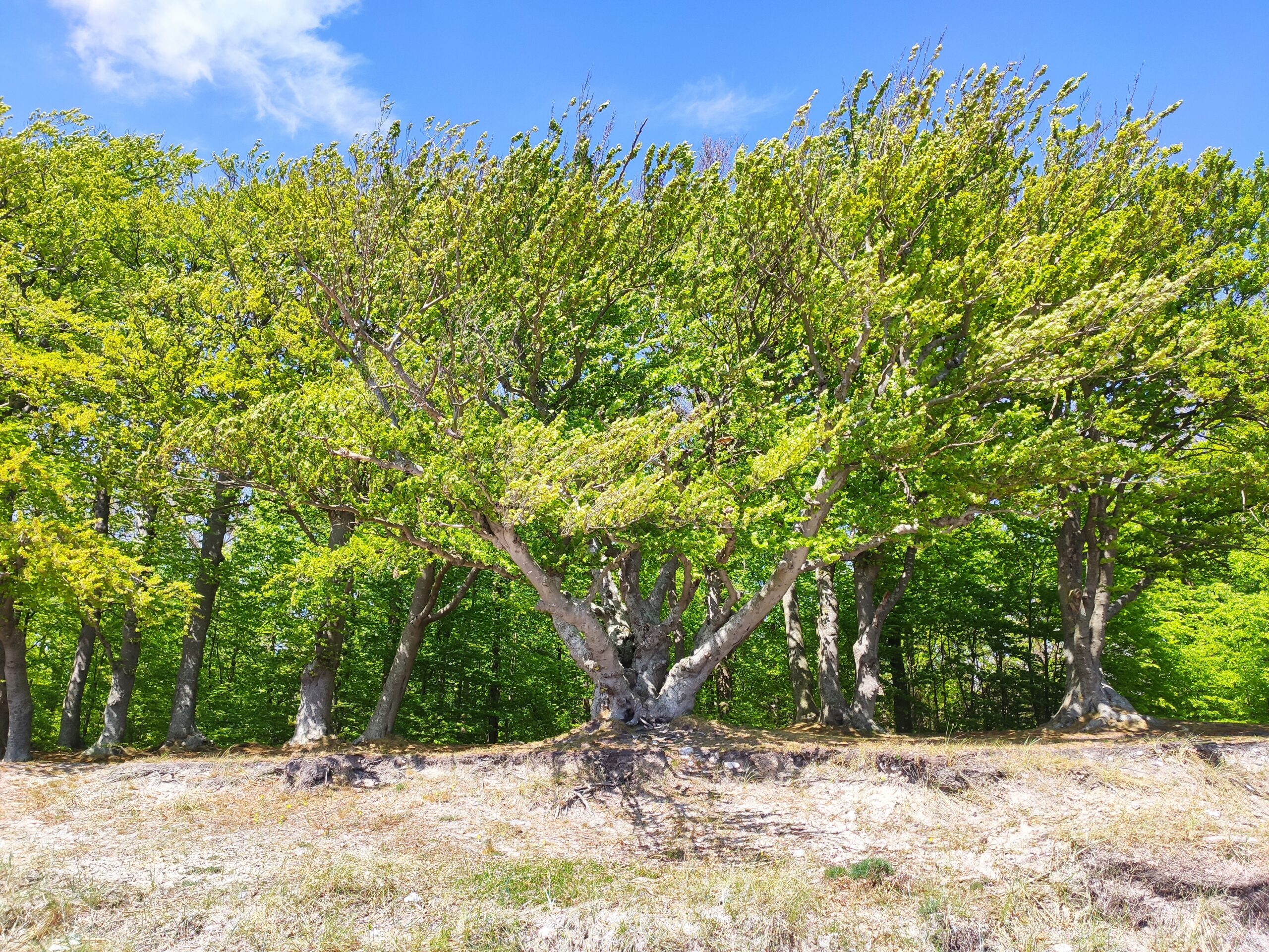 13.05.2022 – Faxe (ohne und mit Ladeplads)