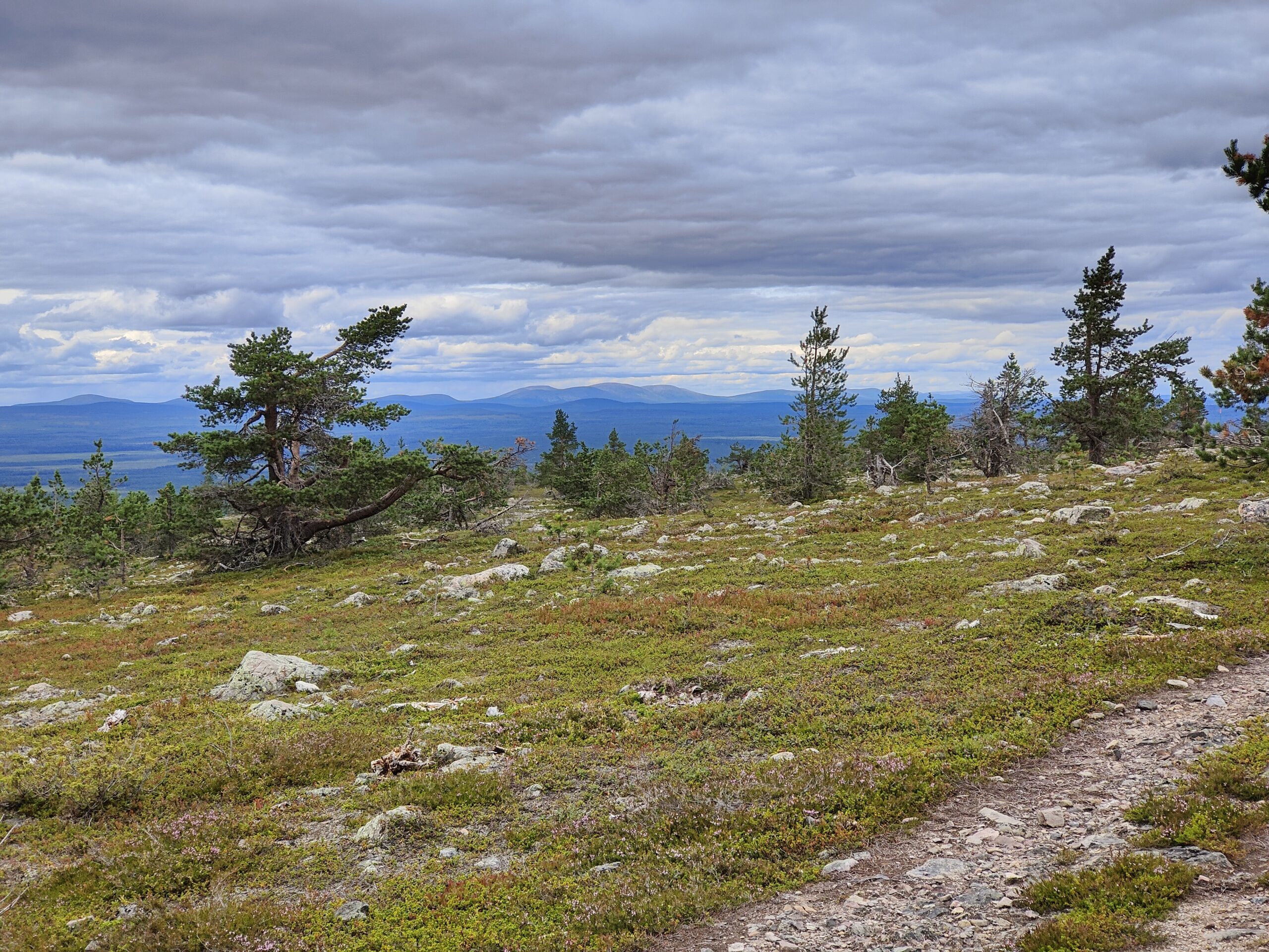 24.07.2022 – Berg Levi