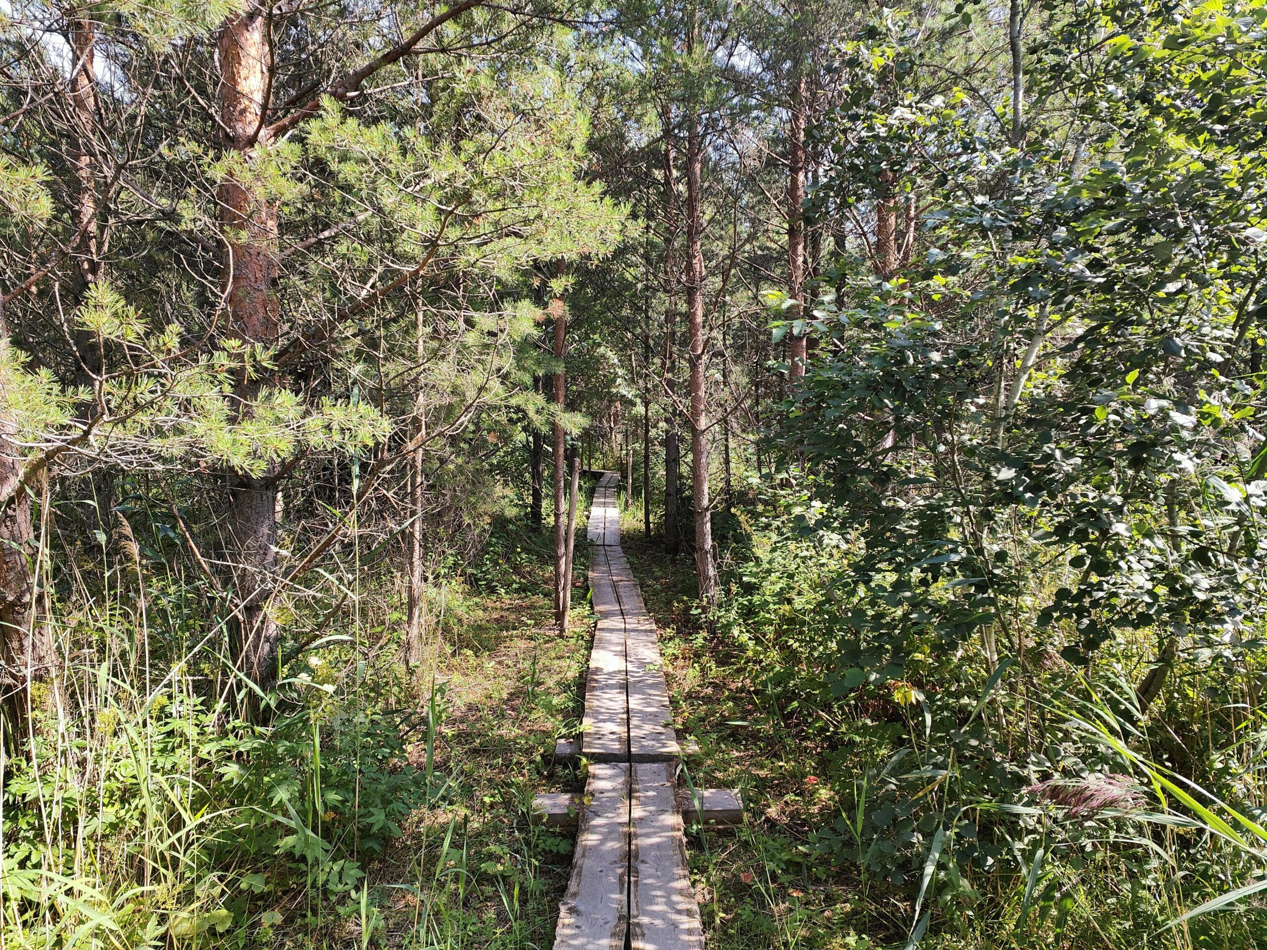 04.08.2022 – Selkämeri Nationalpark
