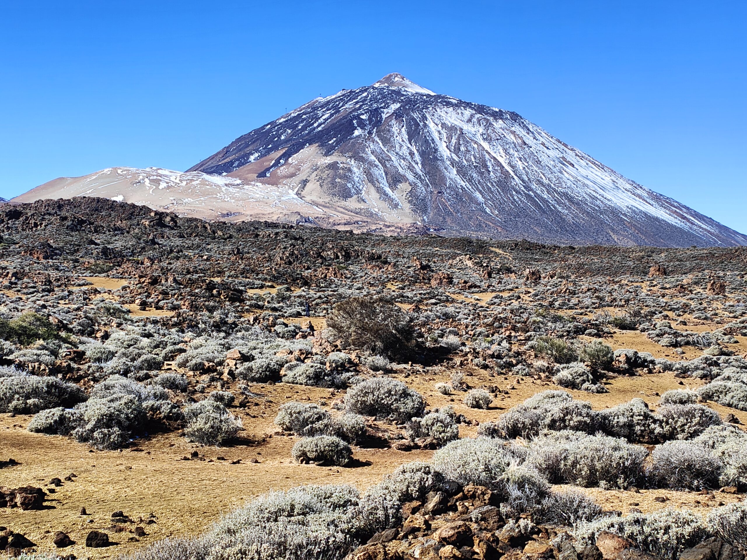 18.02.2023 – Santa Cruz de Tenerife (Teneriffa)