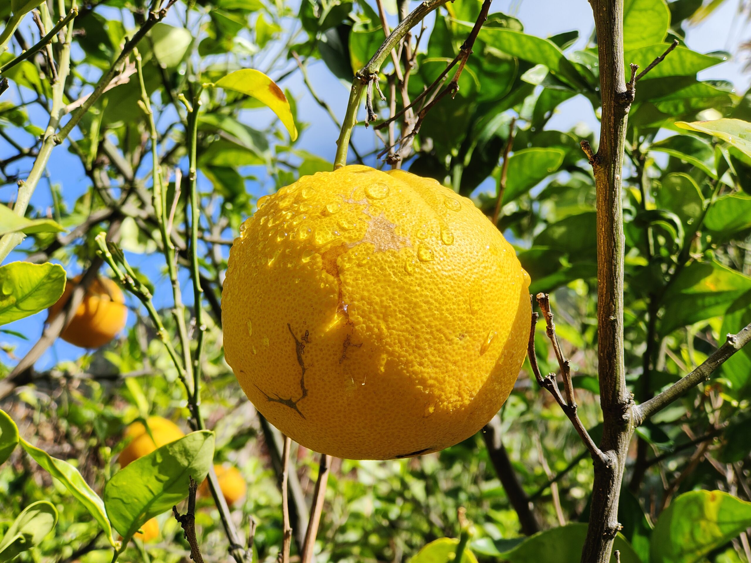 19.02.2023 – Las Palmas (Gran Canaria)