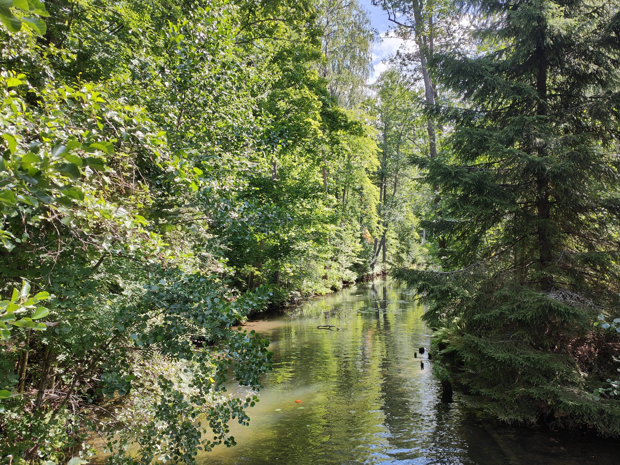 17.07.2023 – Vääsky – Päijänne National Park
