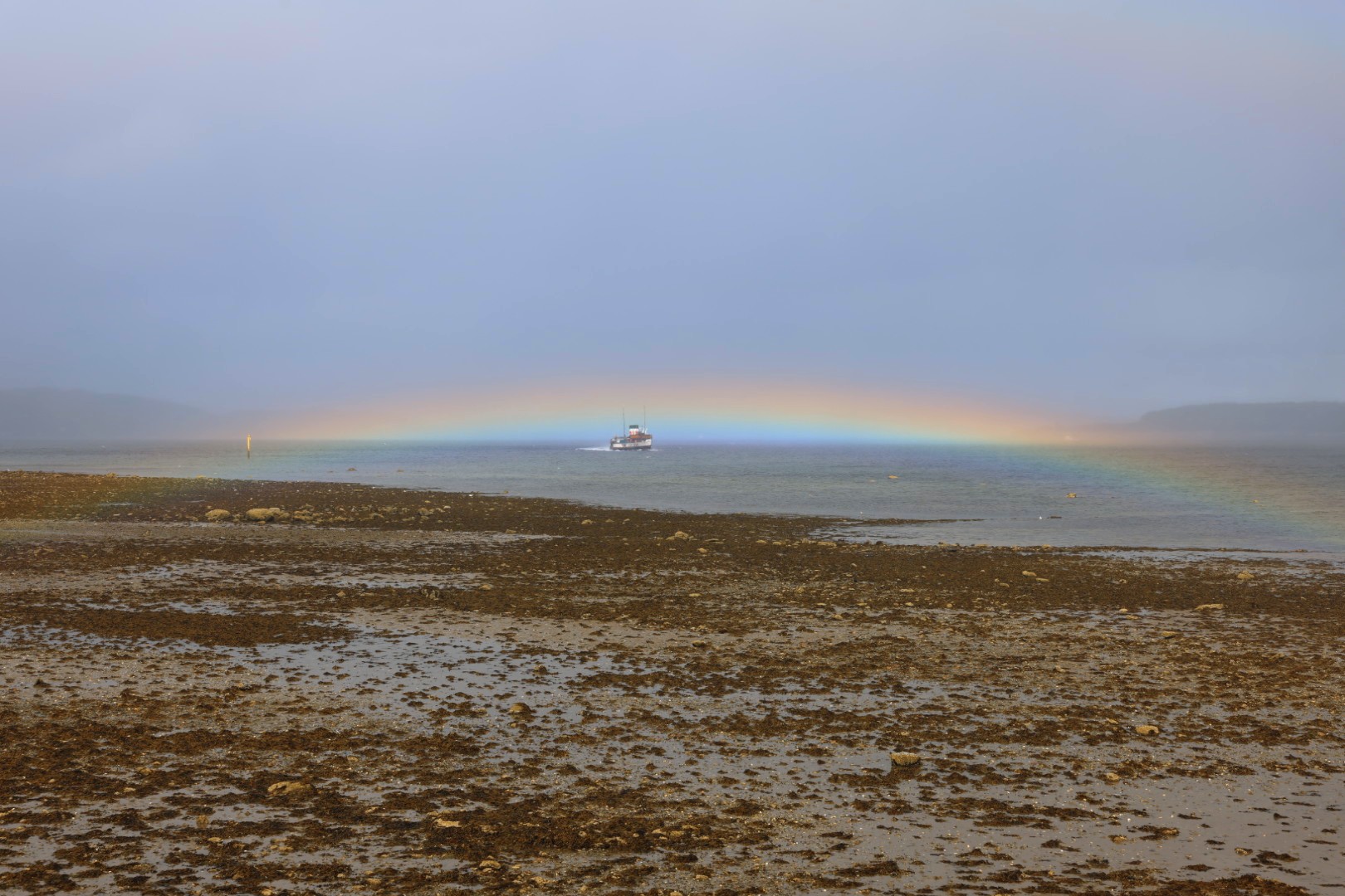 03.07.2024 – Puck’s Glen – Dunoon