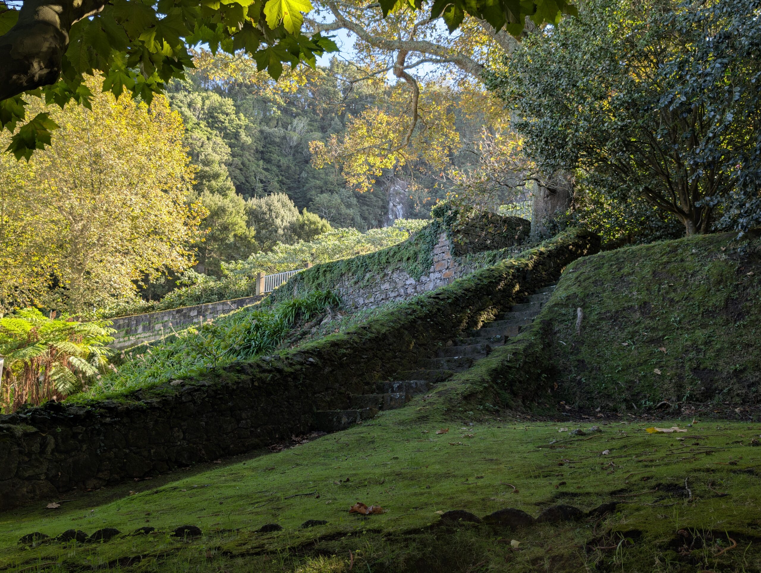 20.11.2024 – Pico da Barrosa, Porto Formoso, Salto da Farinha
