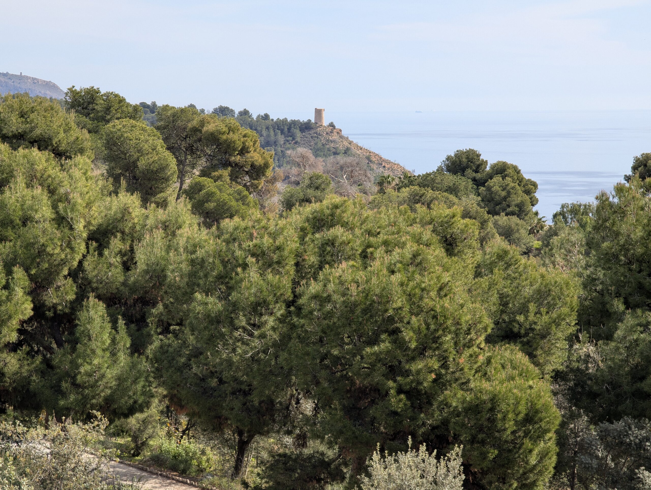 15.02.2025 – Berlin – Malaga – Höhlen von Nerja – Granada