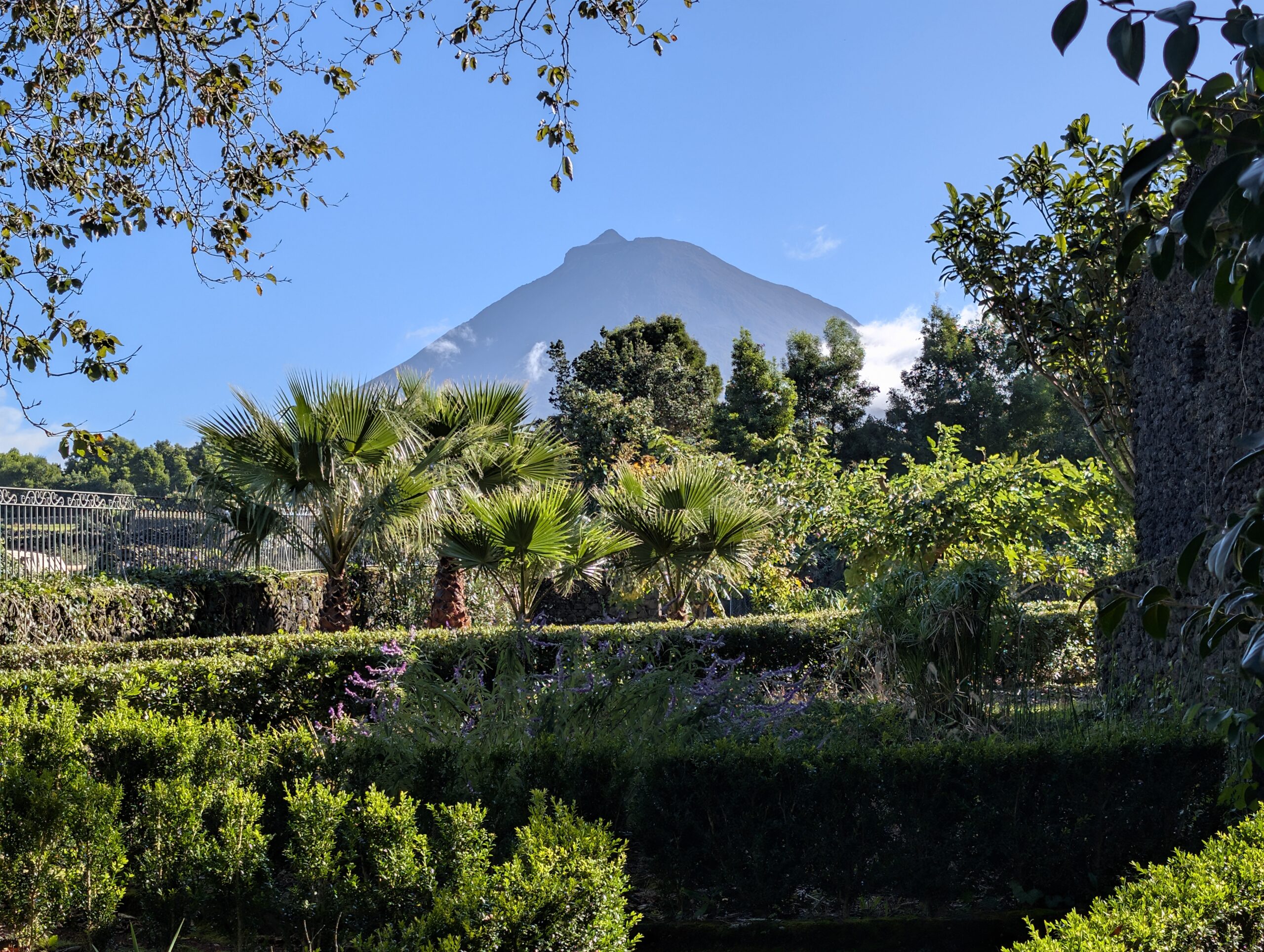 20.11.2025 – Quinta das Rosas, Arcos Vulcânicos