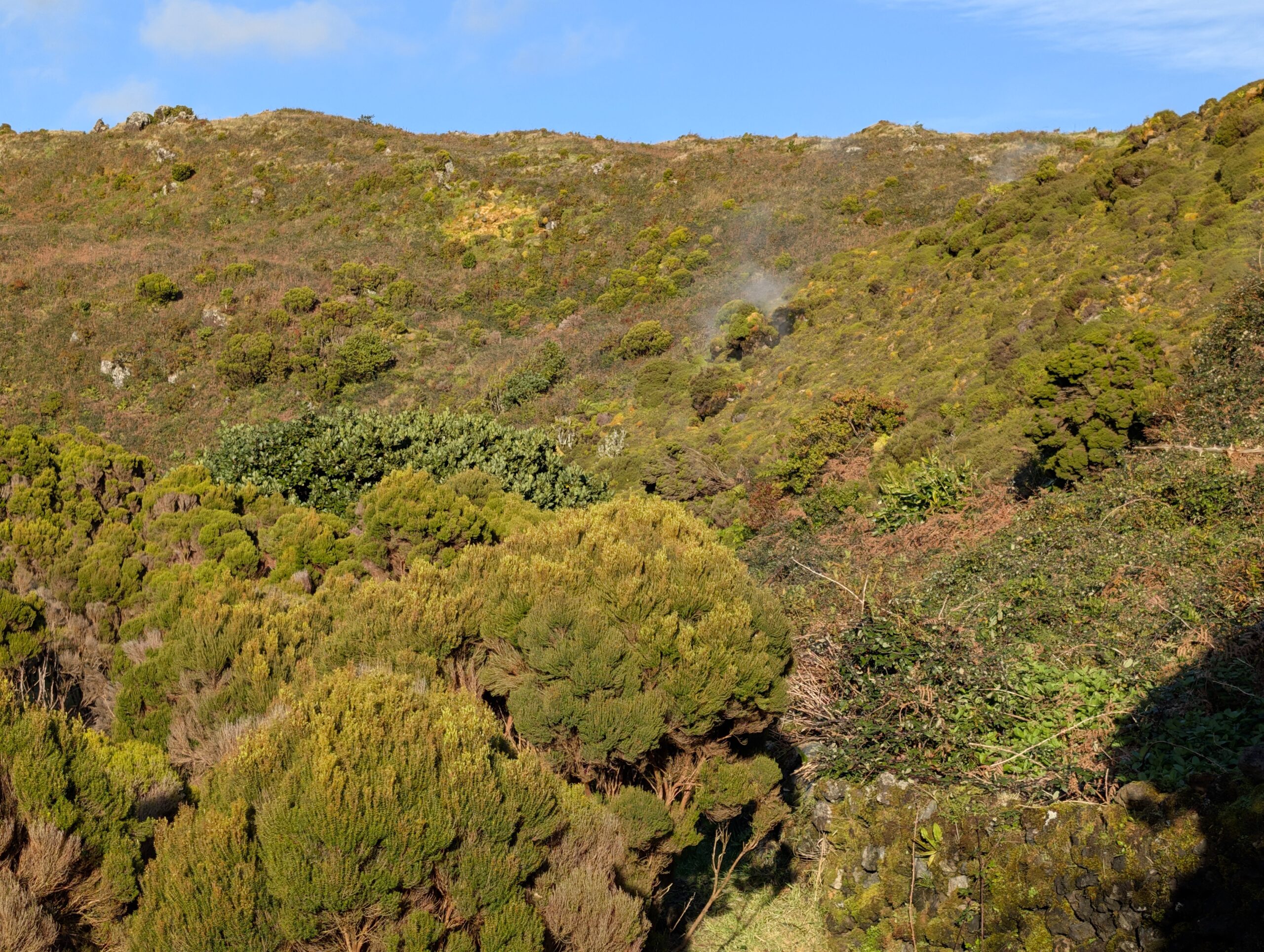 23.11.2025 – Whale Watching – Serra de Santa Bárbara – Furnas do Enxofre