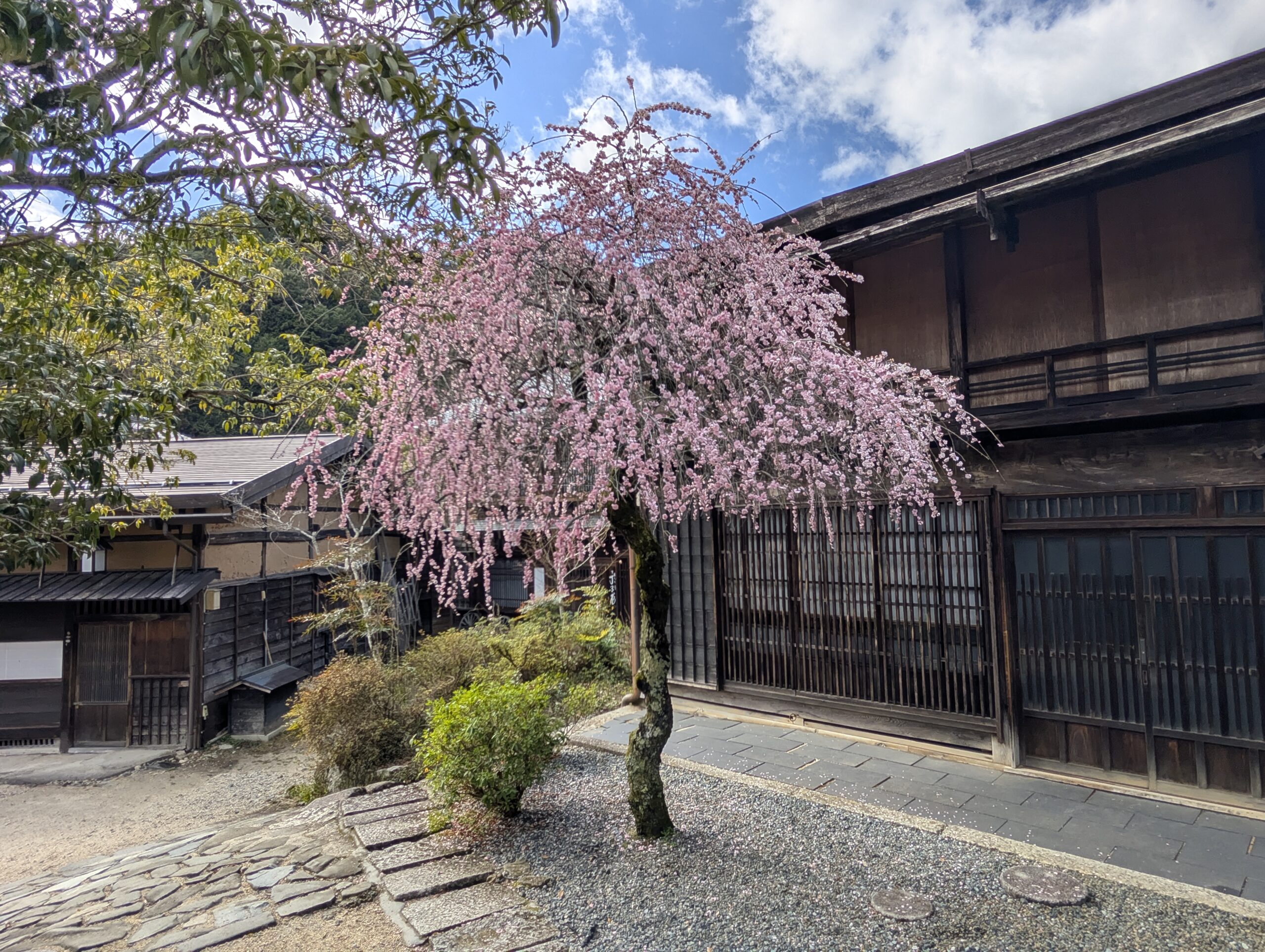 19.03.2026 – Kyoto – Nagoya – Komanba – Magome – Tzunago – Nagiso – Matsumoto